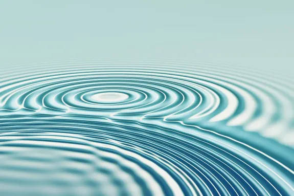 BetBeard Casino Supporto